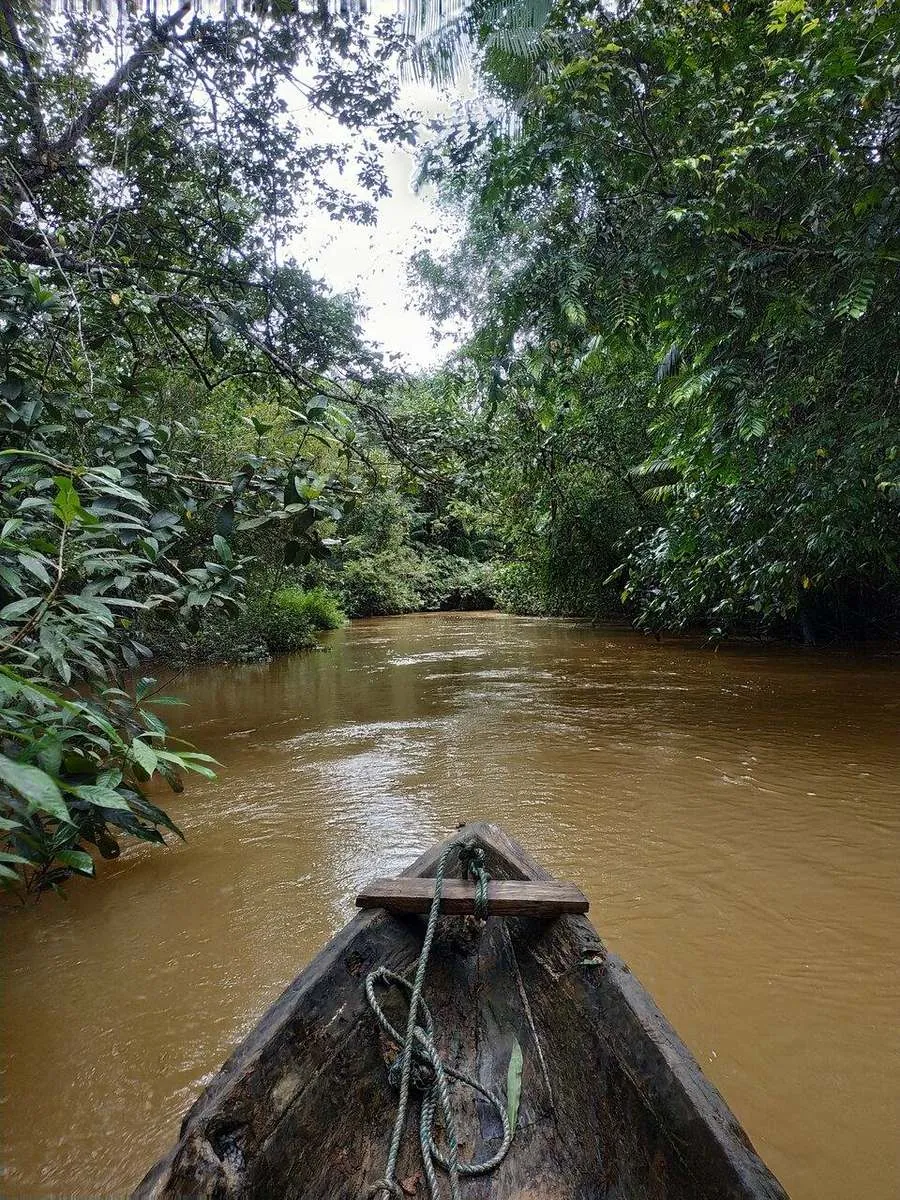 Recorrido en canoa a remo por el río Tundó