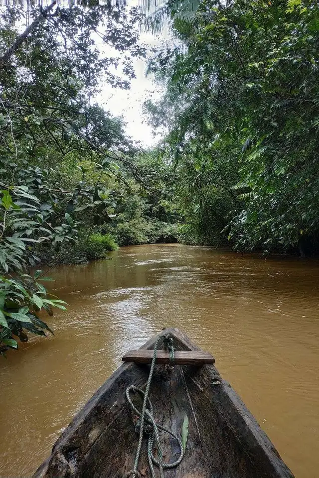 Recorrido en canoa a remo por el río Tundó